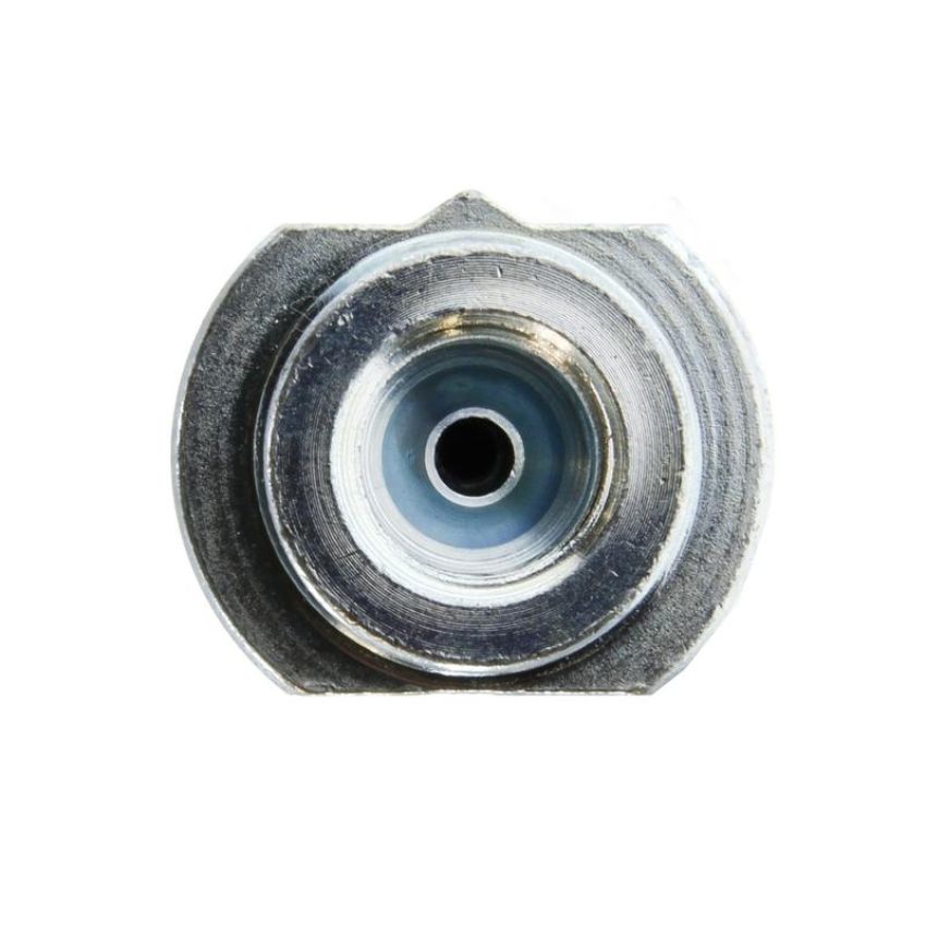 CENTRIC PARTS 150.42062 Centric Brake Hose