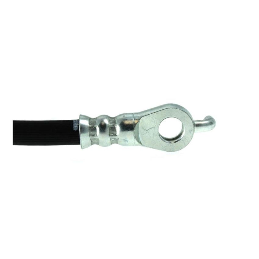CENTRIC PARTS 150.44081 Centric Brake Hose