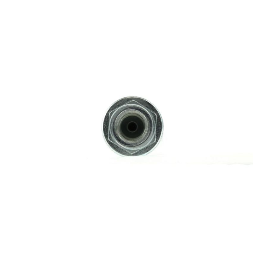 CENTRIC PARTS 150.44419 Centric Brake Hose