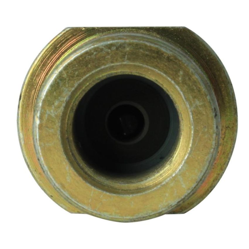 CENTRIC PARTS 150.46069 Centric Brake Hose