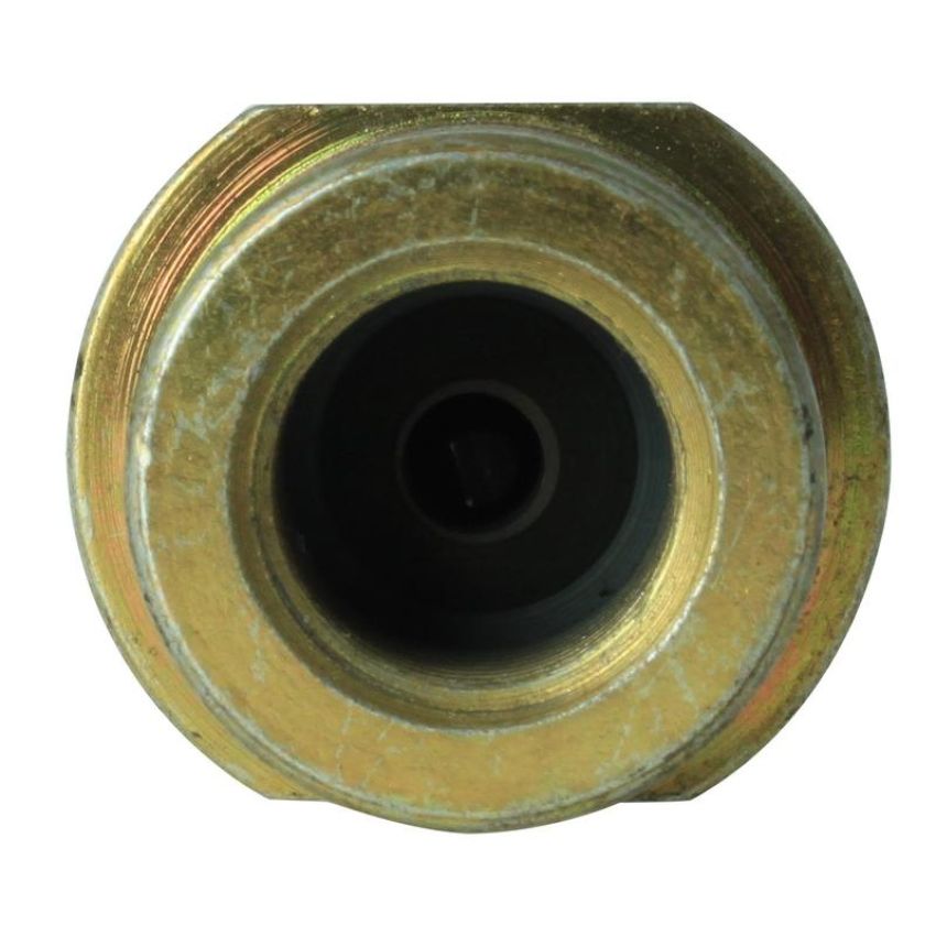 CENTRIC PARTS 150.46069 Centric Brake Hose