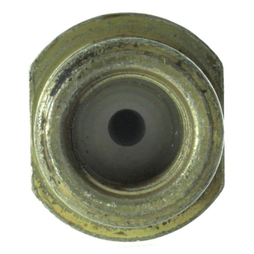 CENTRIC PARTS 150.46307 Centric Brake Hose
