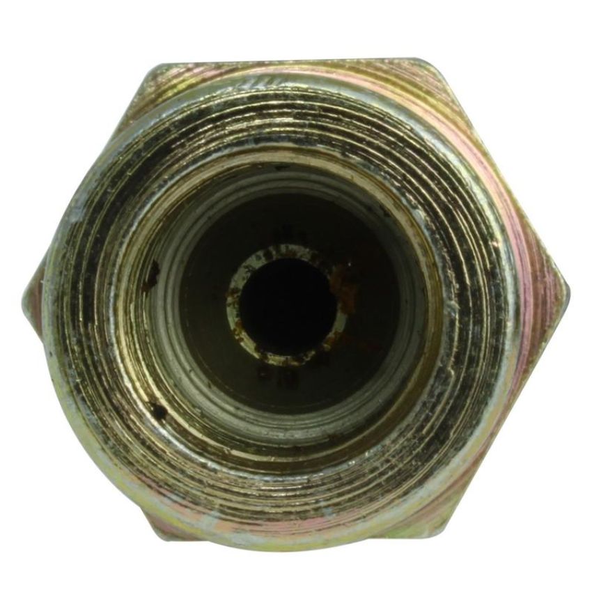 CENTRIC PARTS 150.47310 Centric Brake Hose