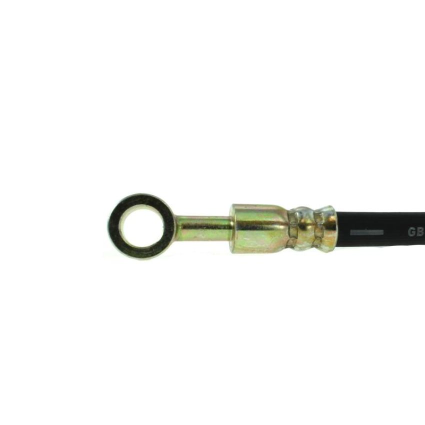 CENTRIC PARTS 150.48031 Centric Brake Hose