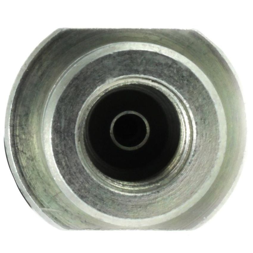 CENTRIC PARTS 150.48319 Centric Brake Hose
