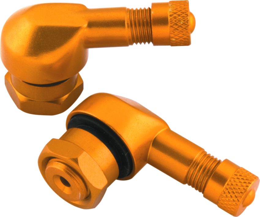 BikeMaster 151787 Valve Stem 2/Piece Pack Gold