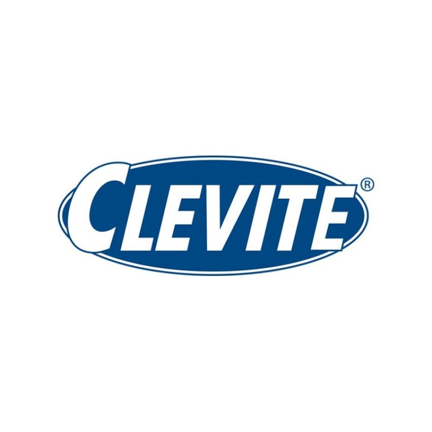 Clevite 224-3719X Engine Piston