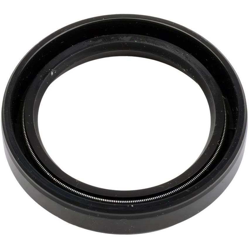 SKF 10924 Seal