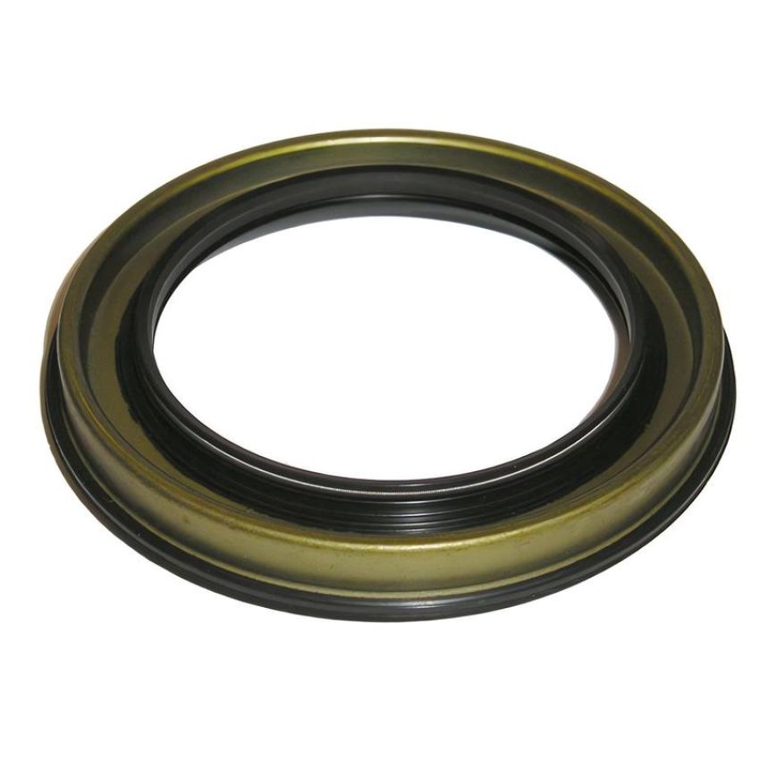 SKF 22125 Seal