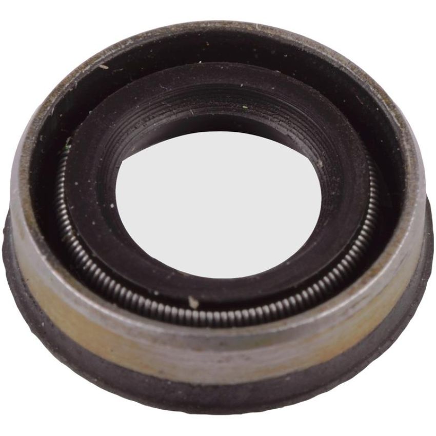 SKF 3036 Seal