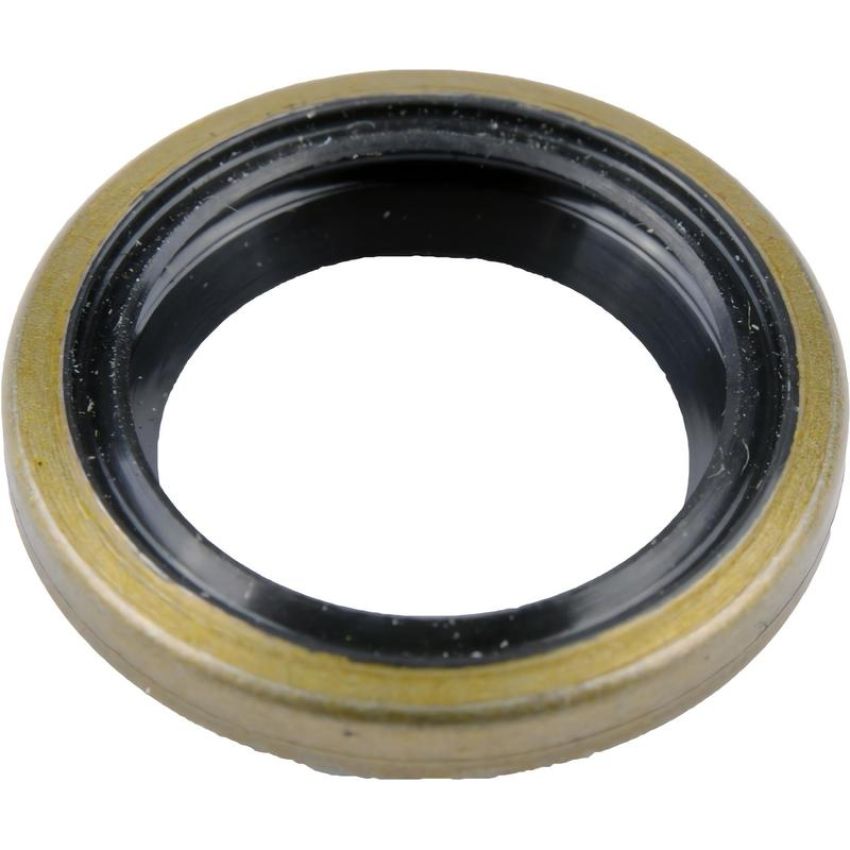 SKF 6119 SKF Grease Seal 6119 OD 0.881 In