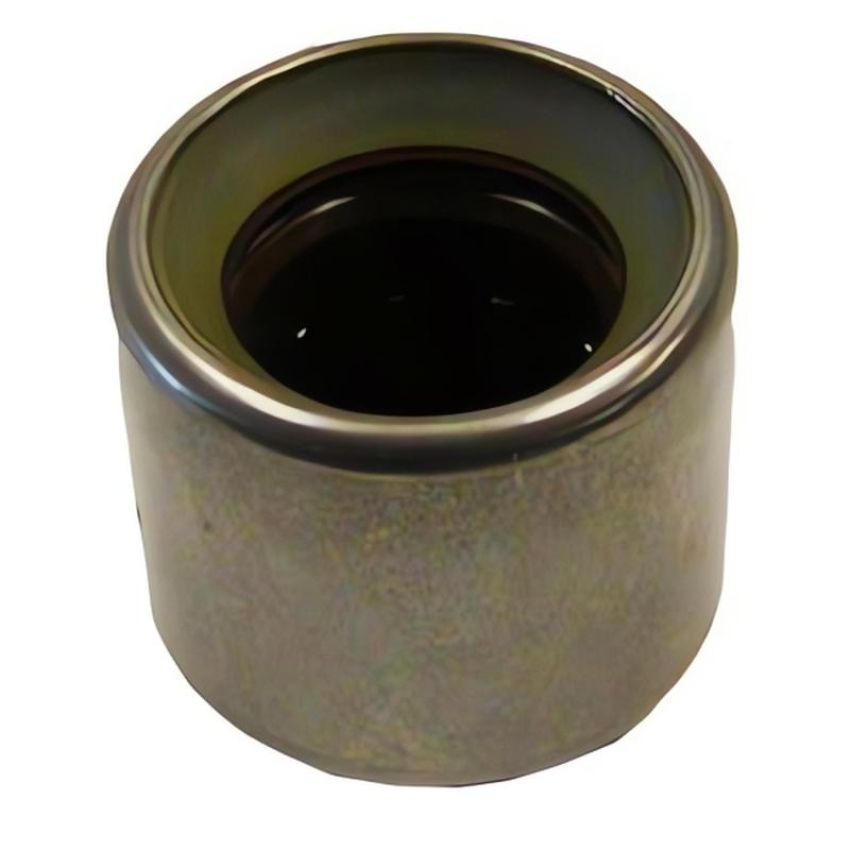 SKF F212285 SKF Needle Bearing F212285 For Audi Porsche