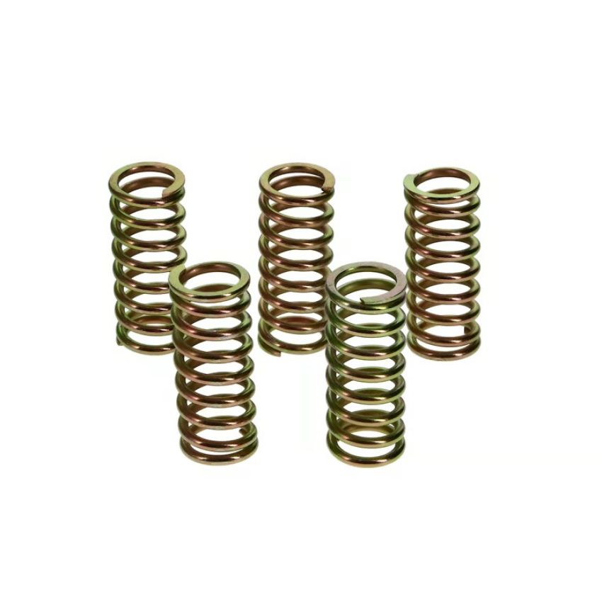 Wiseco CSK007 Clutch Spring Kit XR400/TRX250/ATC250R