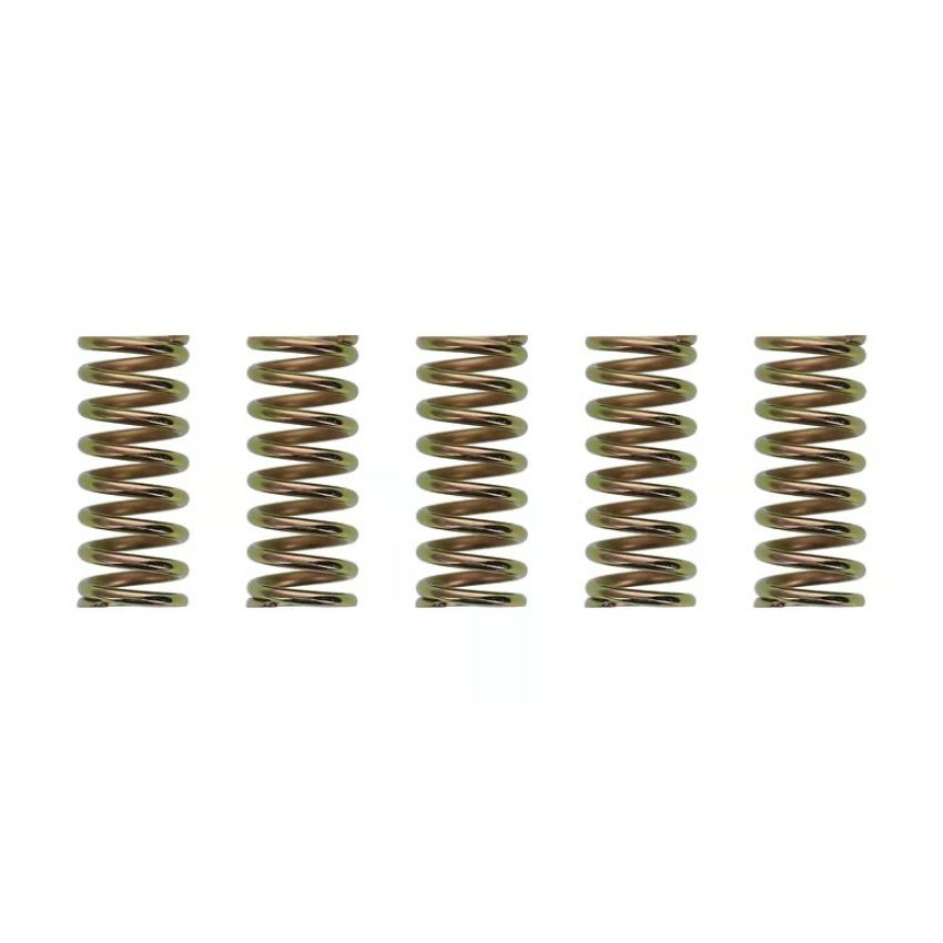 Wiseco CSK007 Clutch Spring Kit XR400/TRX250/ATC250R