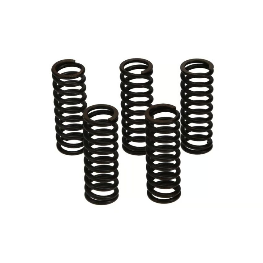 Wiseco CSK030 Clutch Spring Kit Yamaha YZ125/YZ250F