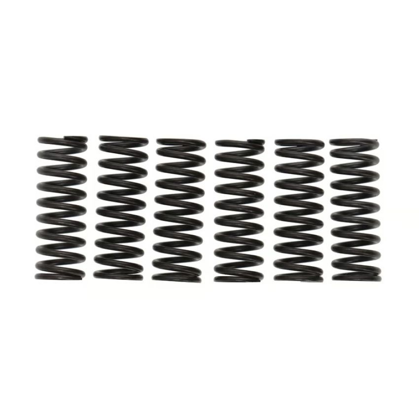 Wiseco CSK036 Clutch Spring Kit Yam YZ450F/700 Raptor