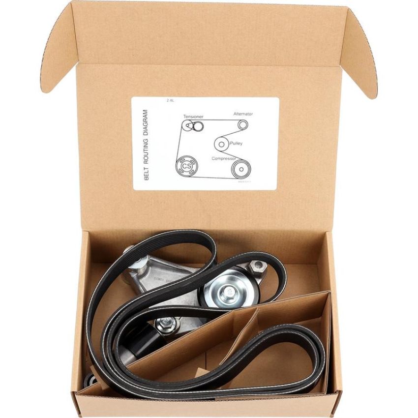 Cloyes B40031 Serpentine Belt