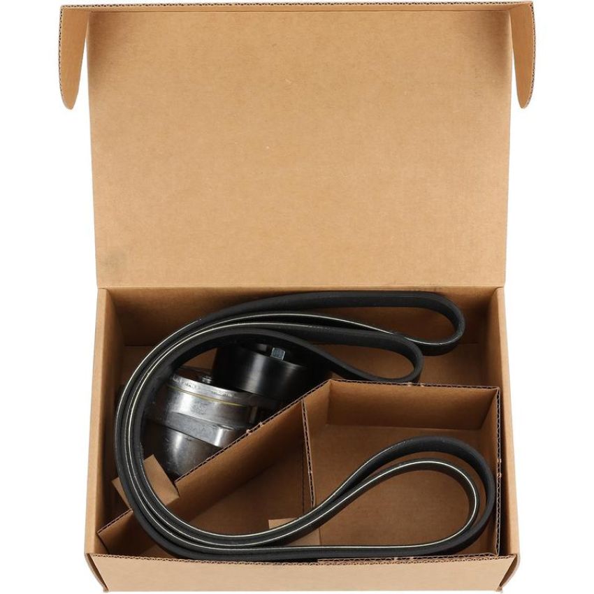 Cloyes B40033 Serpentine Belt