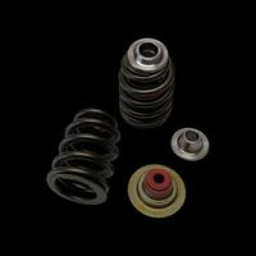 Brian Crower BC0930 Can-Am X3 Rotax 900 Ace Beehive Spring/Steel Retainer/Seat w/ Seal Kit