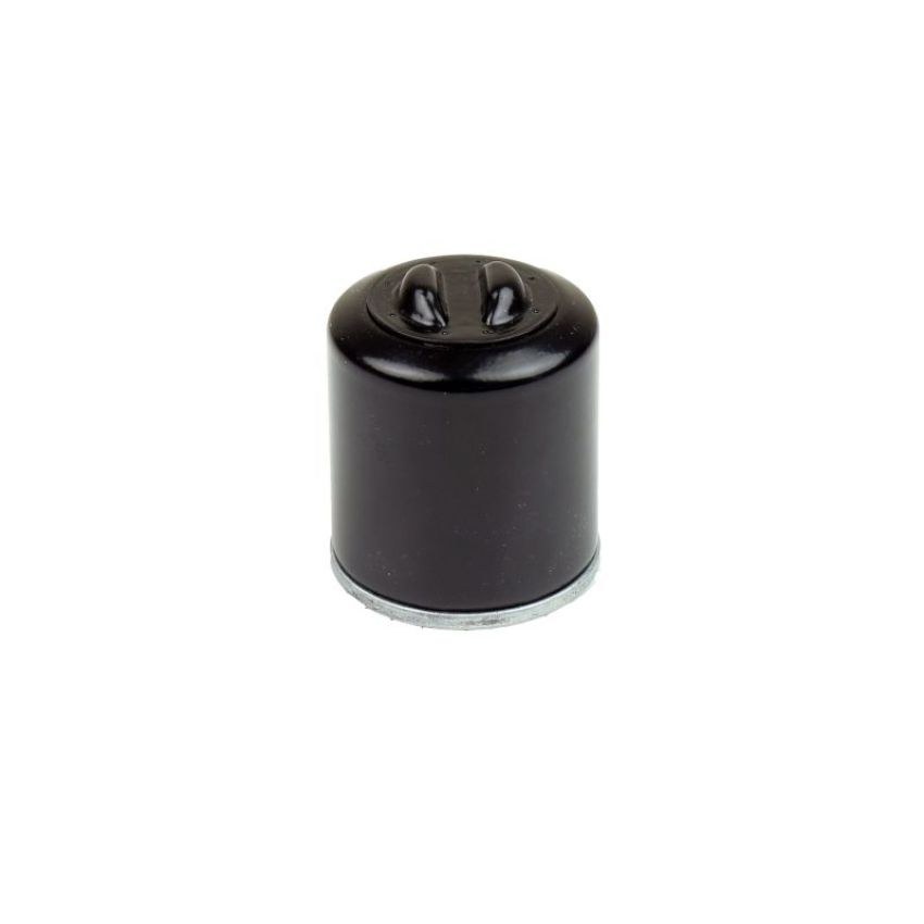 Athena FFP002 05-21 Polaris 200 Oil Filter