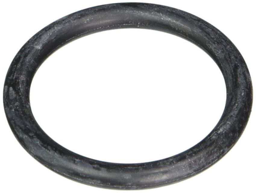 Chrysler (4884873AA Water Inlet Tube O-Ring