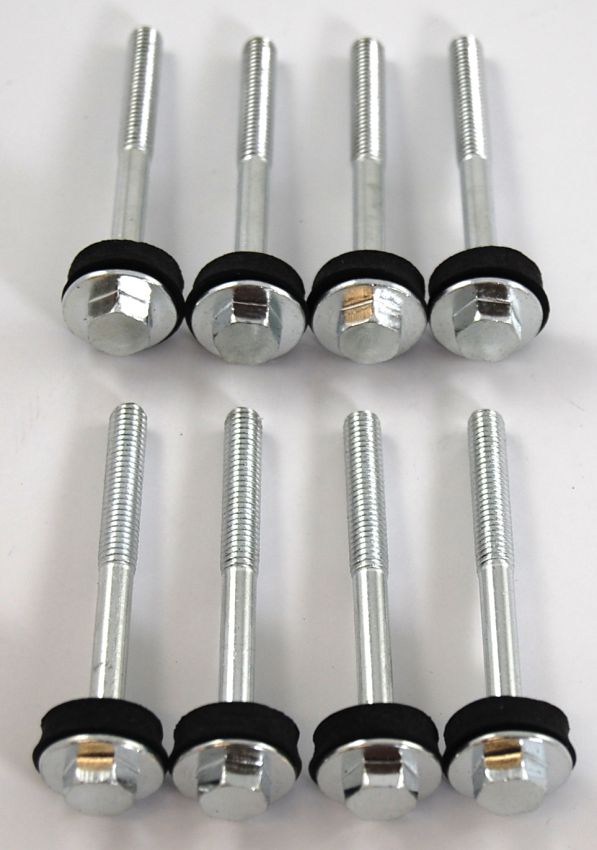 RACING POWER CO-PACKAGED RPCR6142BOLT Bolt Kit For LS1 Valve C over Set