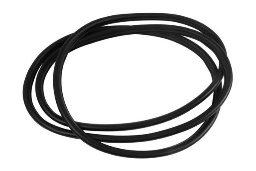 VAICO V20-1202 WINDOW SEAL