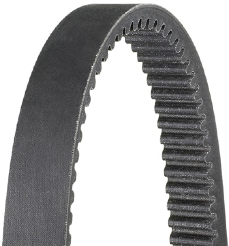 Dayco HP3017 Snow Belt