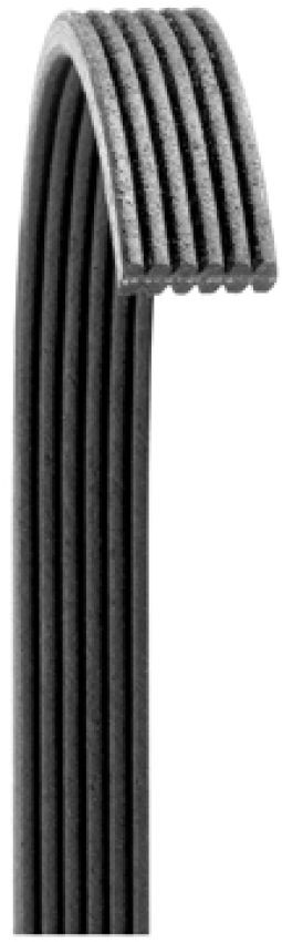 Dayco 6060861 V-Ribbed Belt