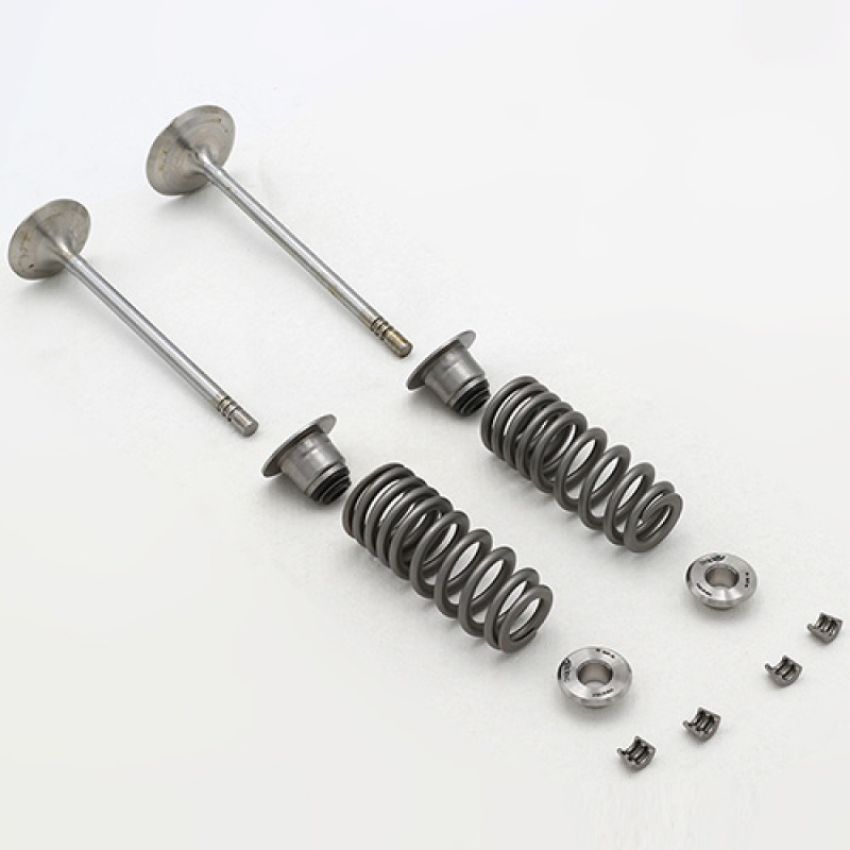 Ford Racing M-6505-FP350S 5.2L Cylinder Head Valve Train Kit