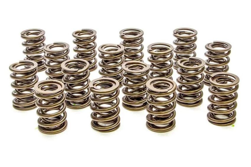 PAC RACING SPRINGS PACPAC-1905-16 Valve Springs - HR Series (16)