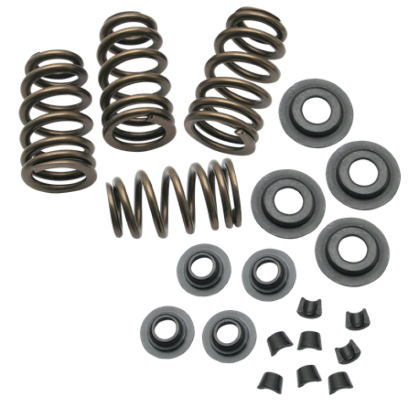 S&S Cycle Valve Spring Kit
