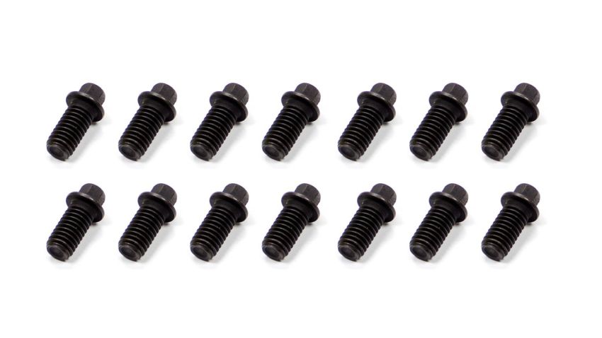 SCHOENFELD SCH3006-14 Header Bolt 3/8-16x3/4in 5/16 Head  14pk