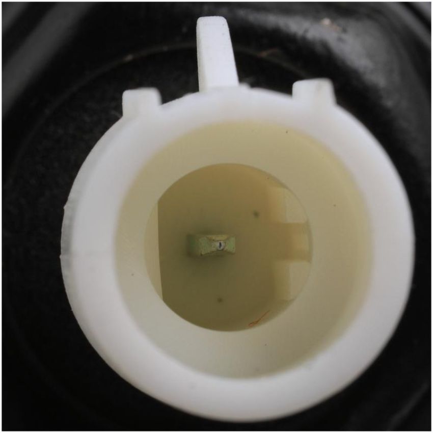 DELPHI AS10013 Ignition Knock (Detonation) Sensor