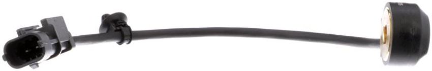 DELPHI AS10205 Ignition Knock (Detonation) Sensor