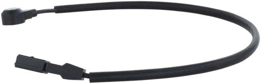 DELPHI AS10312 Ignition Knock (Detonation) Sensor