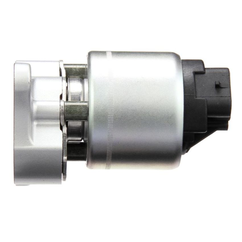 DELPHI EG10020 EGR Valve