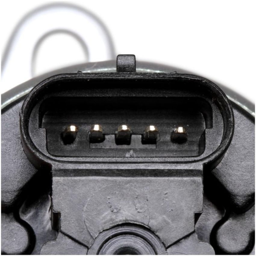 DELPHI EG10020 EGR Valve