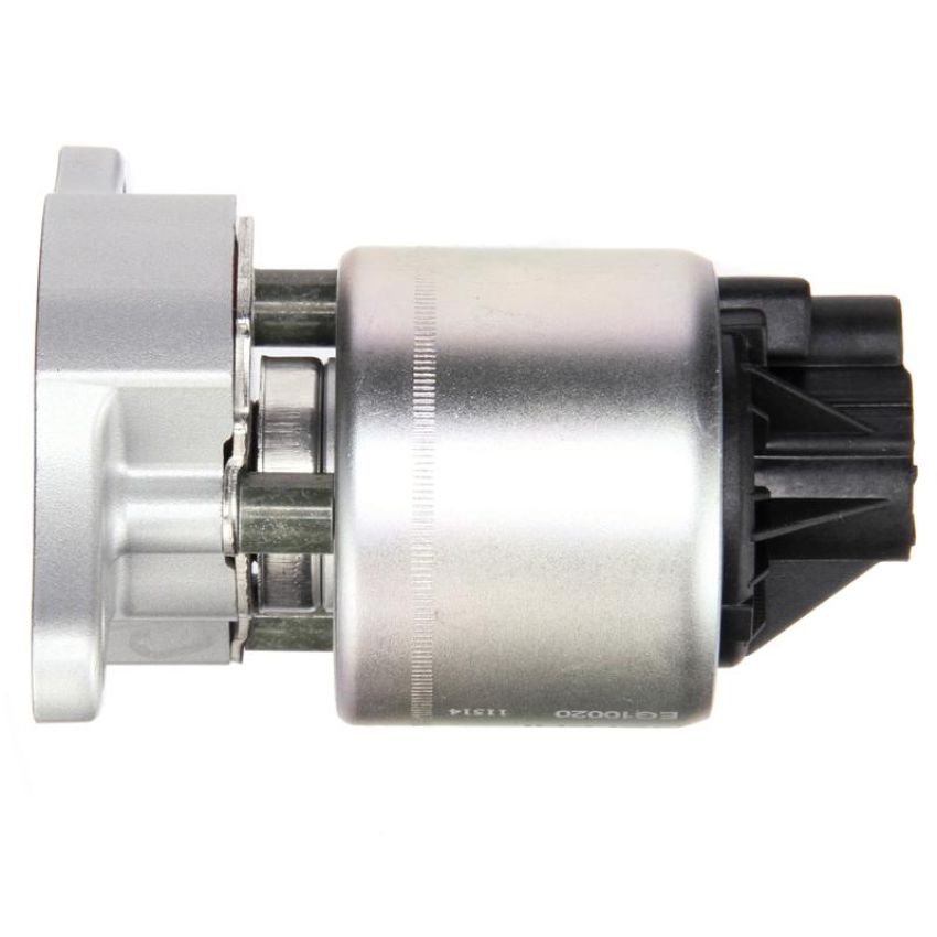 DELPHI EG10020 EGR Valve