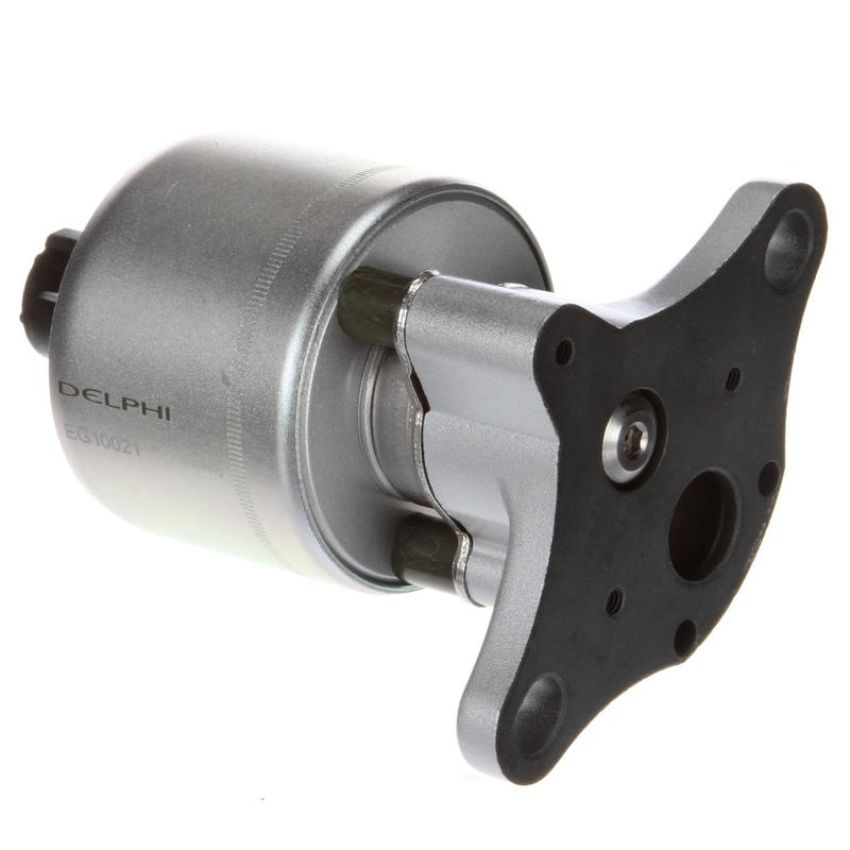 DELPHI EG10021 EGR Valve