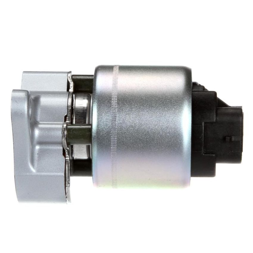 DELPHI EG10021 EGR Valve