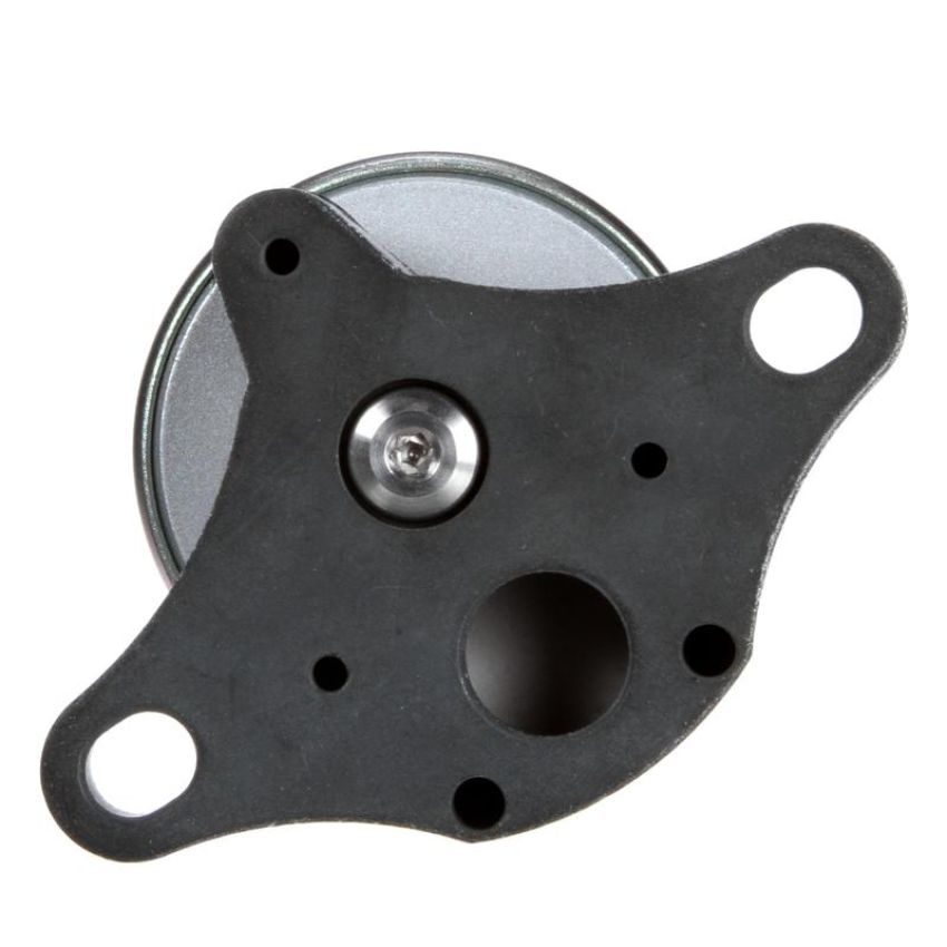 DELPHI EG10021 EGR Valve