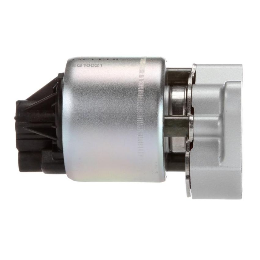 DELPHI EG10021 EGR Valve