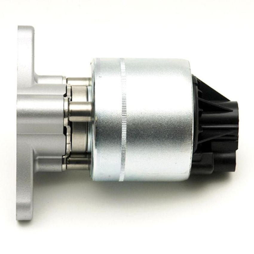 DELPHI EG10021 EGR Valve