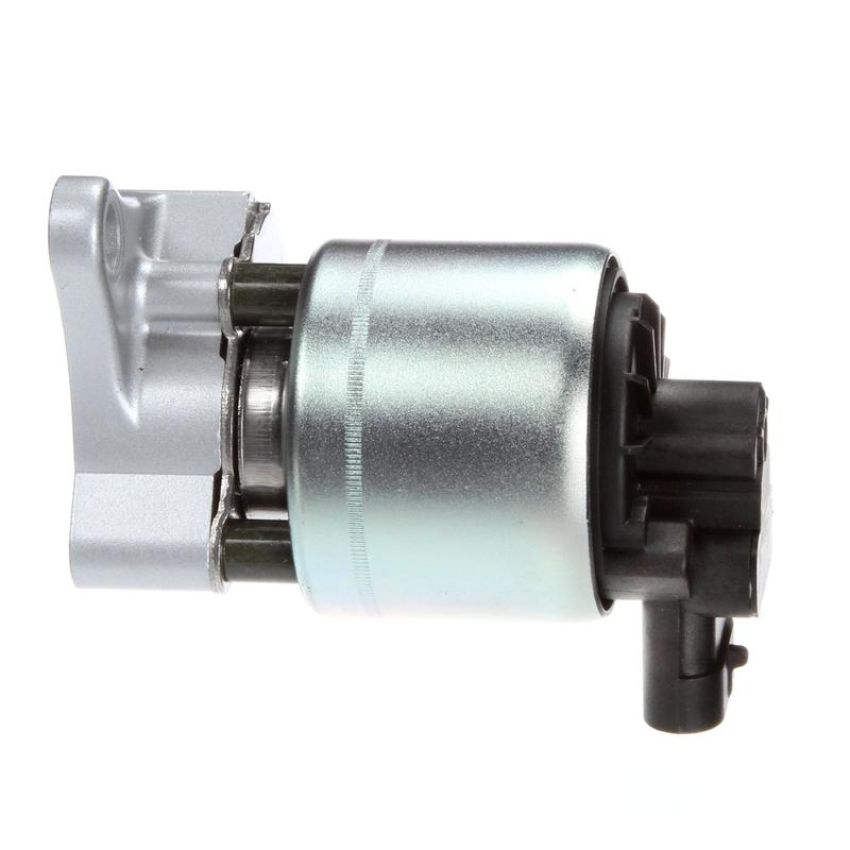 DELPHI EG10022 EGR Valve