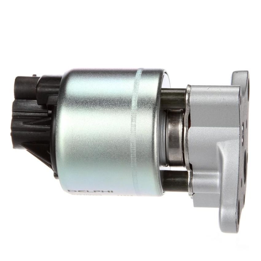 DELPHI EG10023 EGR Valve