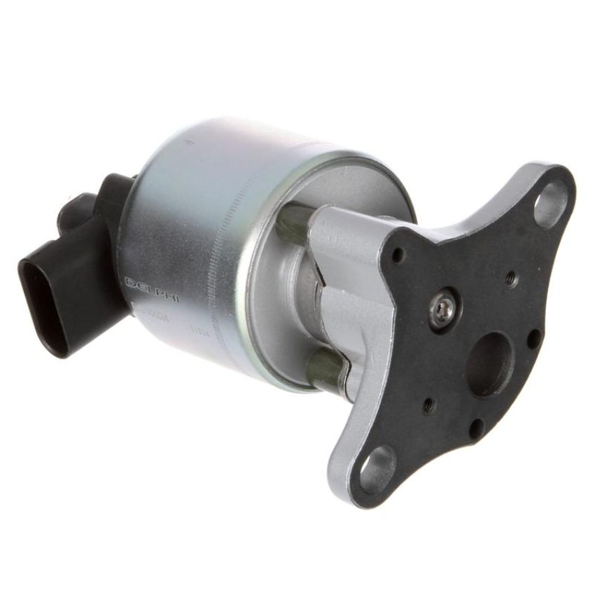 DELPHI EG10024 EGR Valve