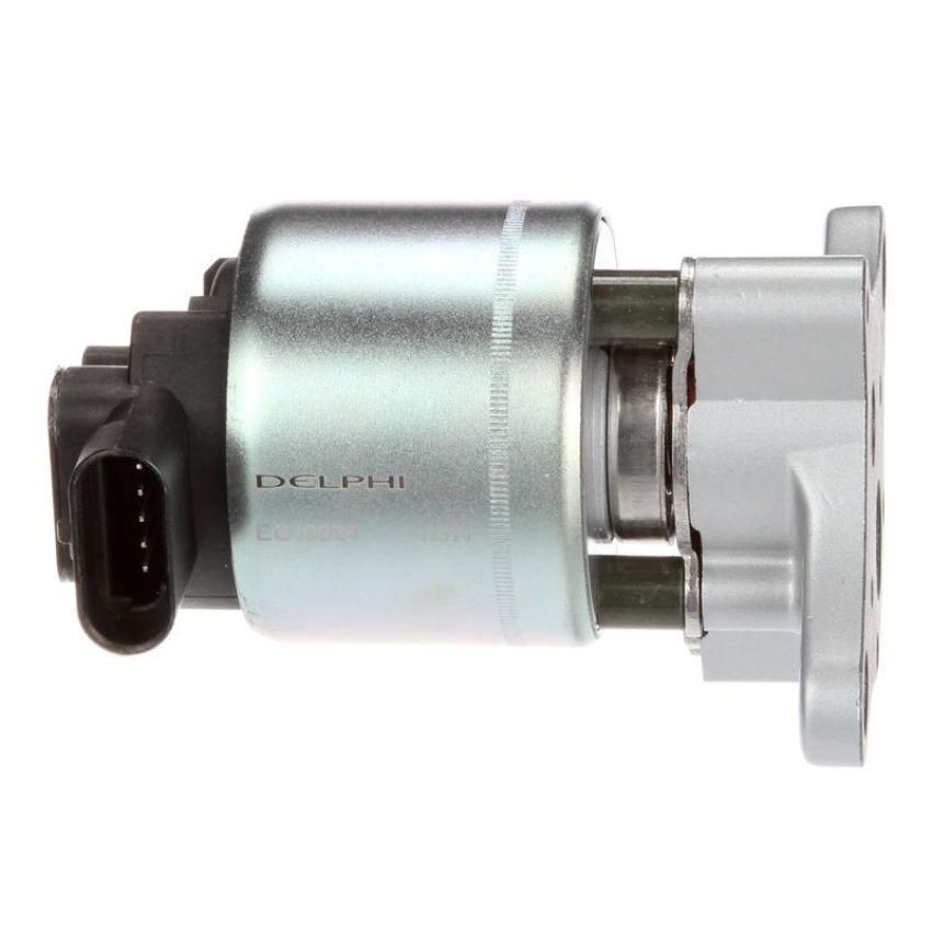 DELPHI EG10024 EGR Valve