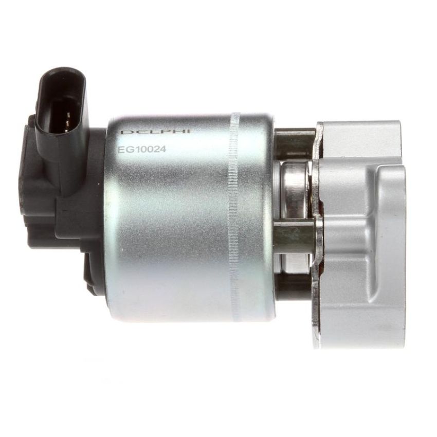 DELPHI EG10024 EGR Valve