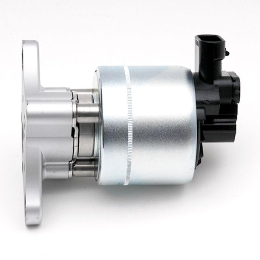 DELPHI EG10024 EGR Valve